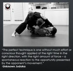 CRowesNest Brazilian Jiu Jitsu facility image