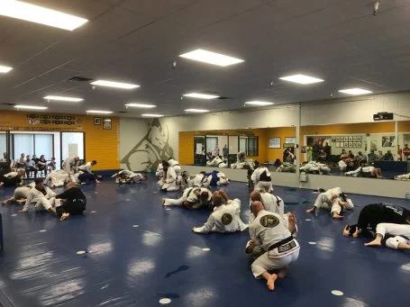 CRowesNest Brazilian Jiu Jitsu facility image