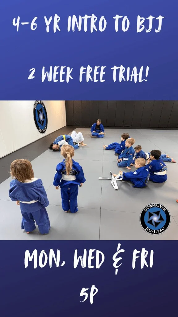 Downriver Jiu Jitsu facility image