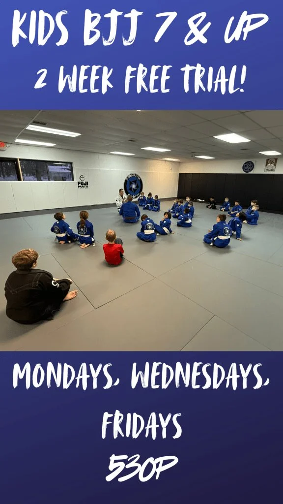 Downriver Jiu Jitsu facility image