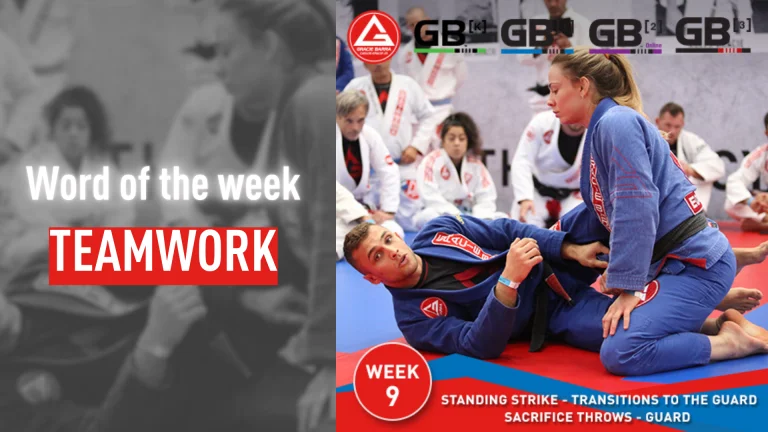 Gracie Barra Lake Orion Jiu-Jitsu facility image