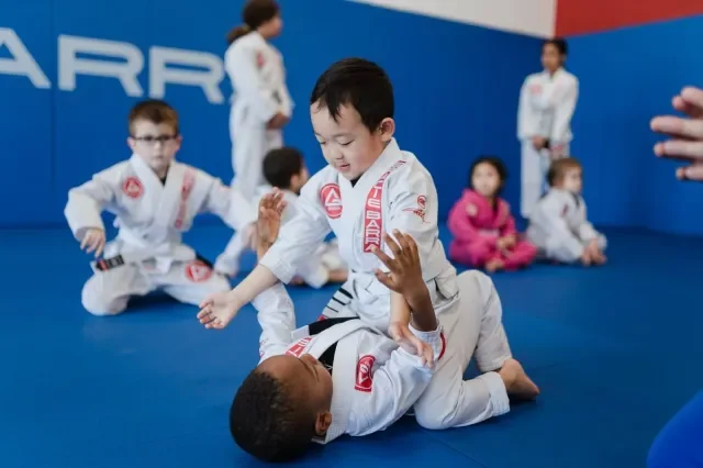 Gracie Barra Novi Brazilian Jiu-Jitsu facility image