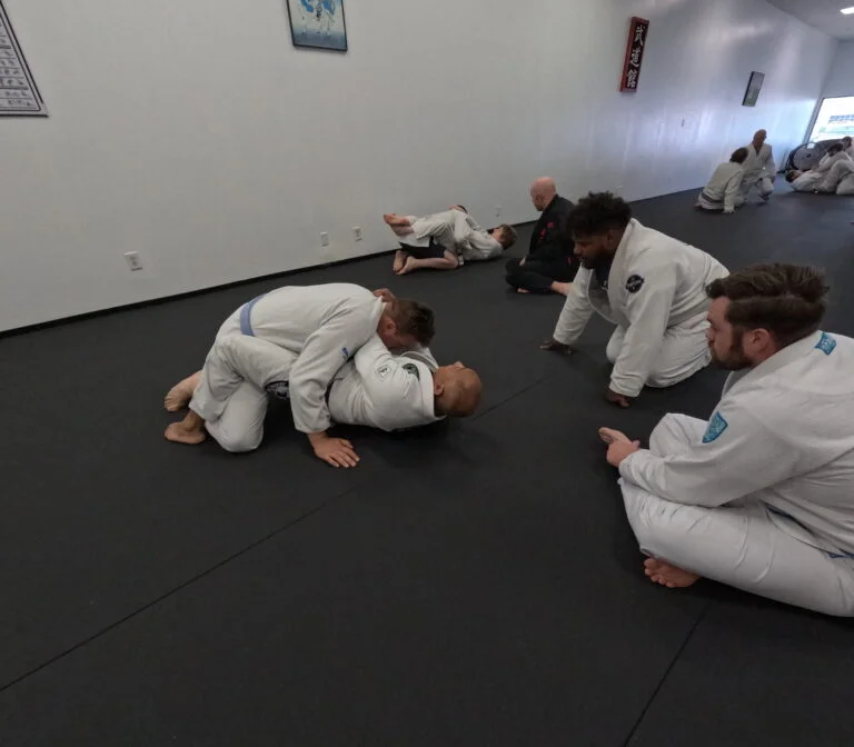 Mushin Academy / bjjclubofmichigan facility image
