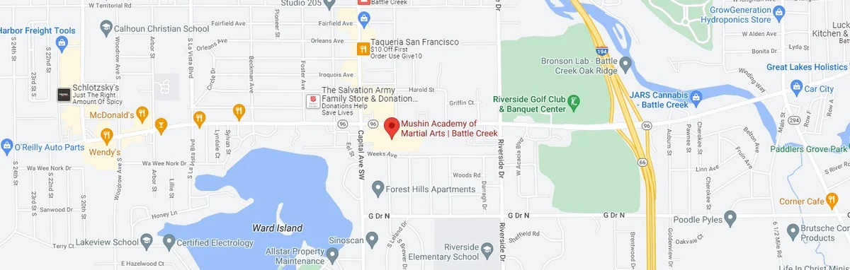 Mushin Academy / bjjclubofmichigan facility image