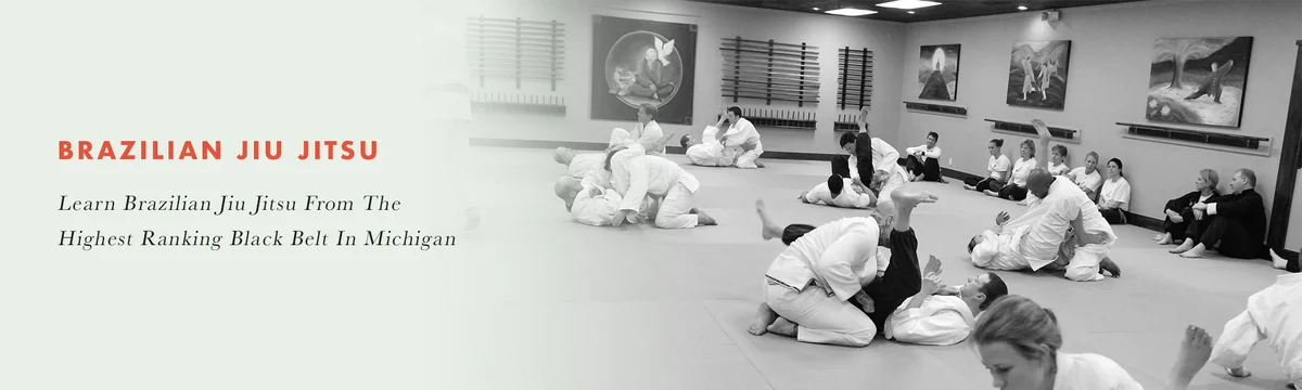 Rochester School of Martial Arts facility image