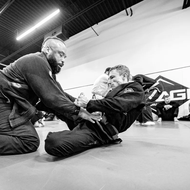 Akagi Jiu-Jitsu academy logo