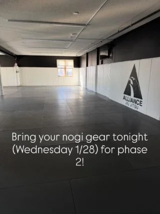 Alliance BJJ River City academy logo