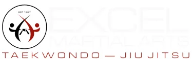 Excel Martial Arts facility image