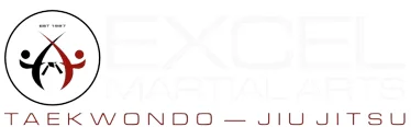Excel Martial Arts facility image