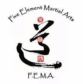 Five Element Martial Arts & Healing Center facility image
