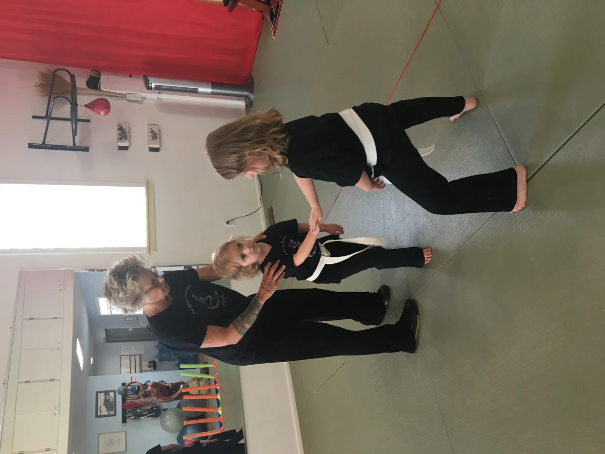 Five Element Martial Arts & Healing Center facility image