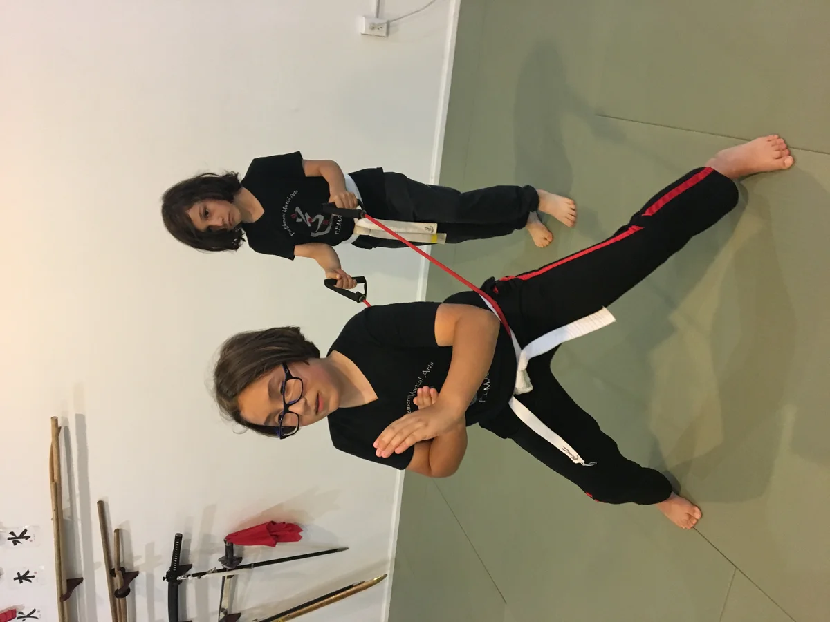 Five Element Martial Arts & Healing Center facility image