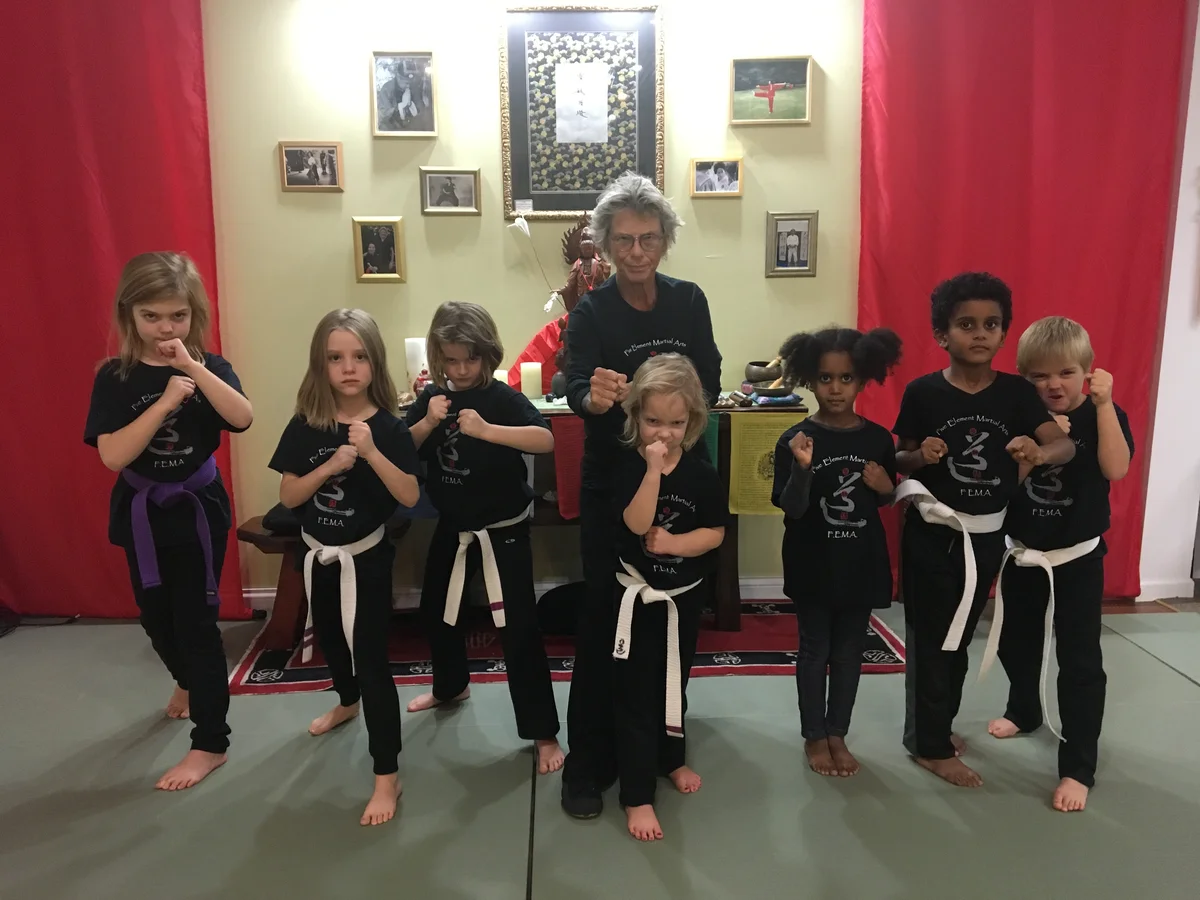 Five Element Martial Arts & Healing Center facility image