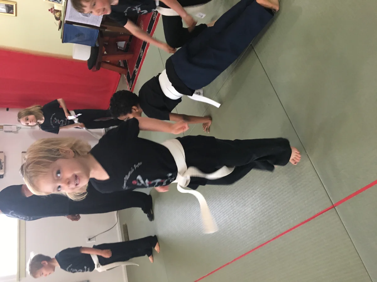 Five Element Martial Arts & Healing Center facility image