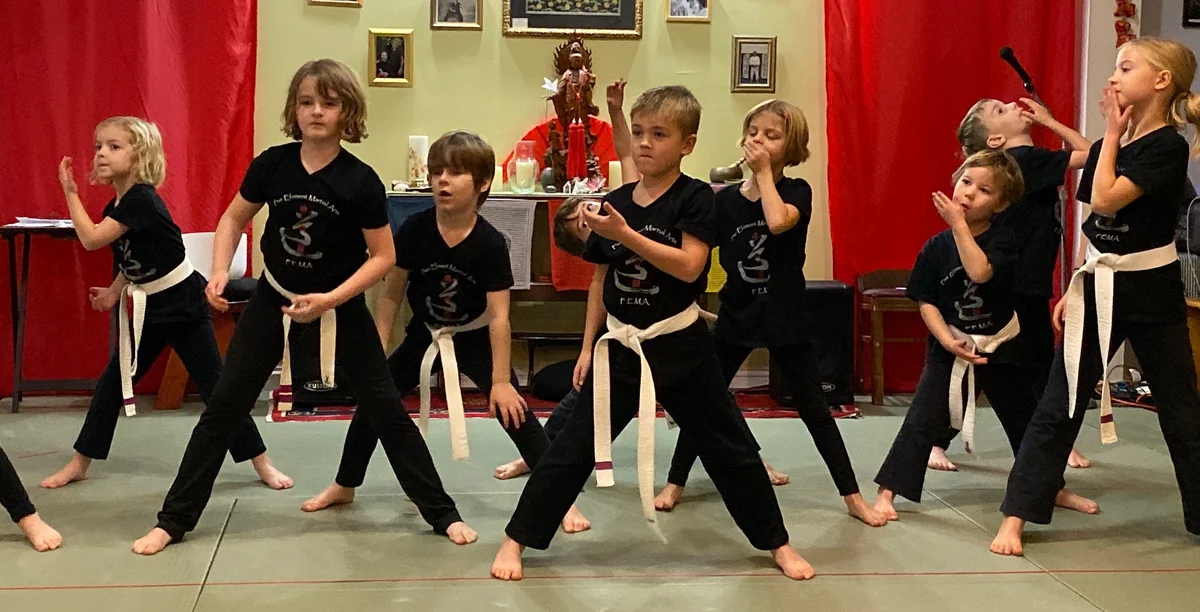 Five Element Martial Arts & Healing Center facility image
