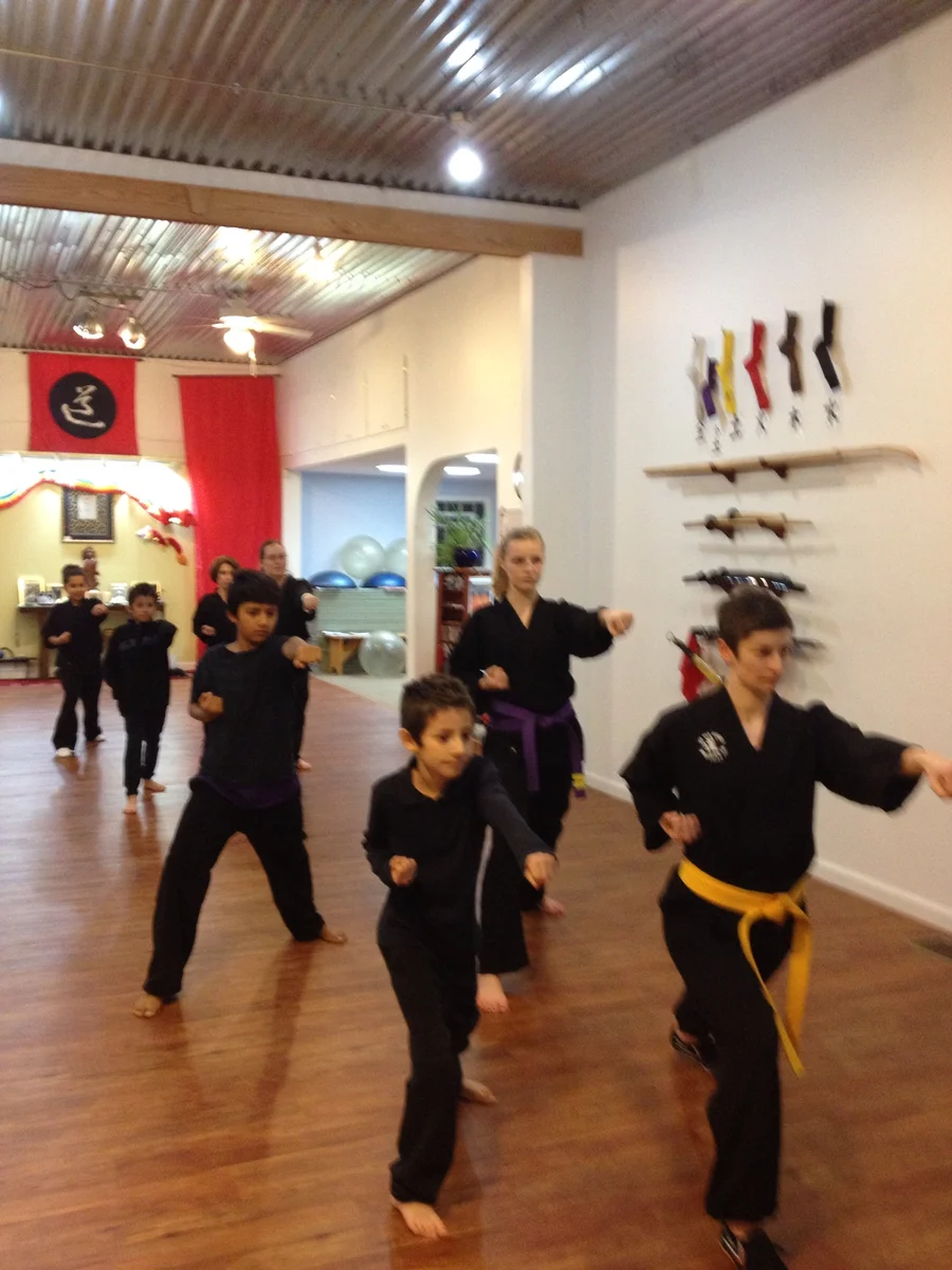 Five Element Martial Arts & Healing Center facility image