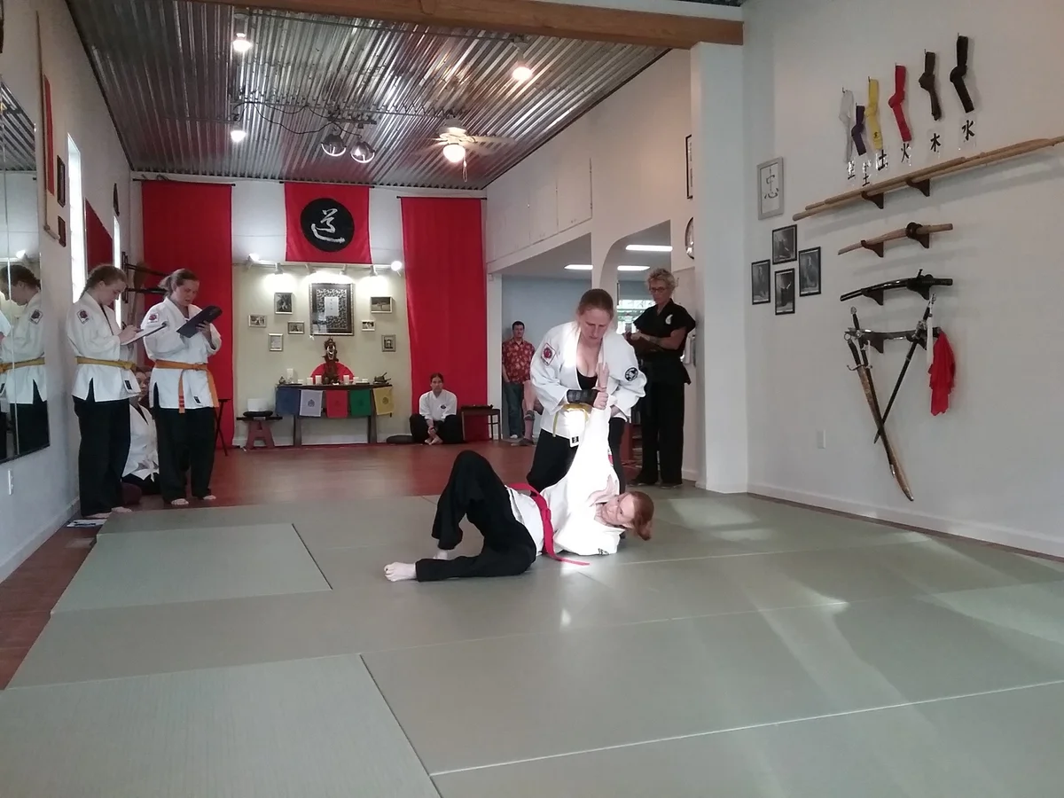 Five Element Martial Arts & Healing Center facility image