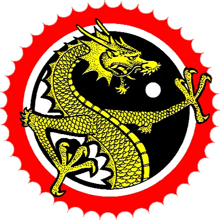 Maikido academy logo