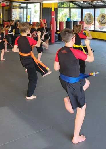 Shou Shu Martial Arts facility image