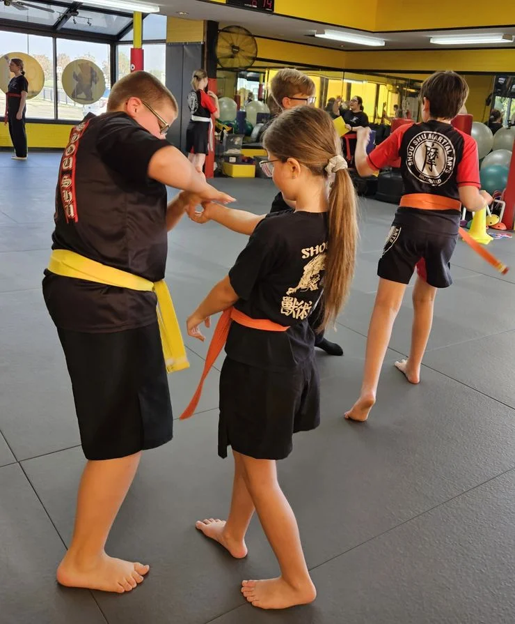 Shou Shu Martial Arts facility image