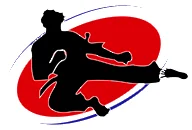 Southern MN Martial Arts academy logo