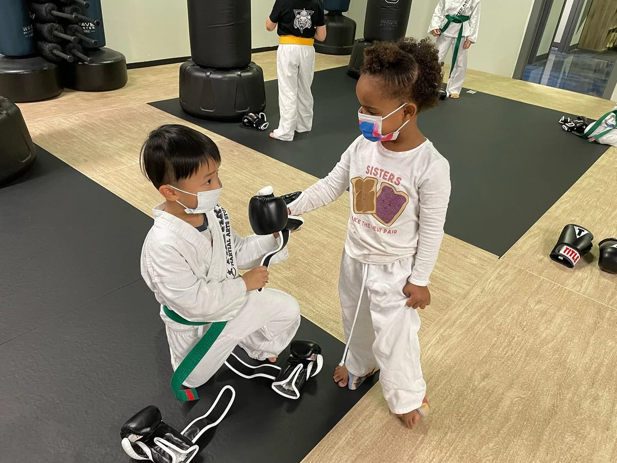 The Art MMA facility image