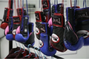 Alive Jiu Jitsu facility image