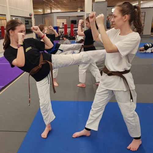 Good People Great Jiu Jitsu (Carrillo's Martial Arts Academy / Carrillo's Martial Arts) facility image