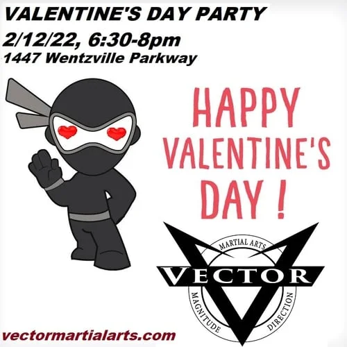 Vector Martial Arts-O'Fallon facility image