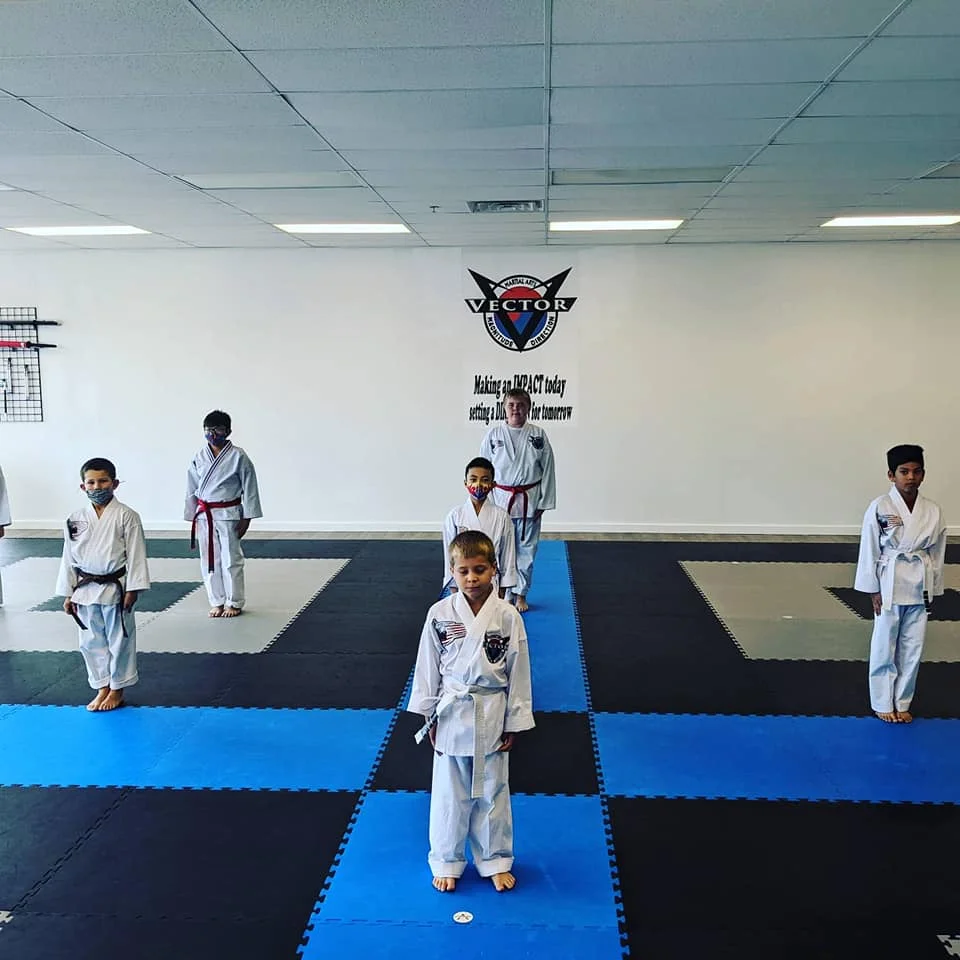 Vector Martial Arts-O'Fallon facility image