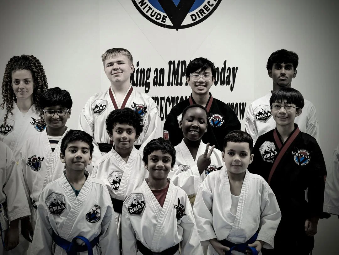 Vector Martial Arts-O'Fallon facility image