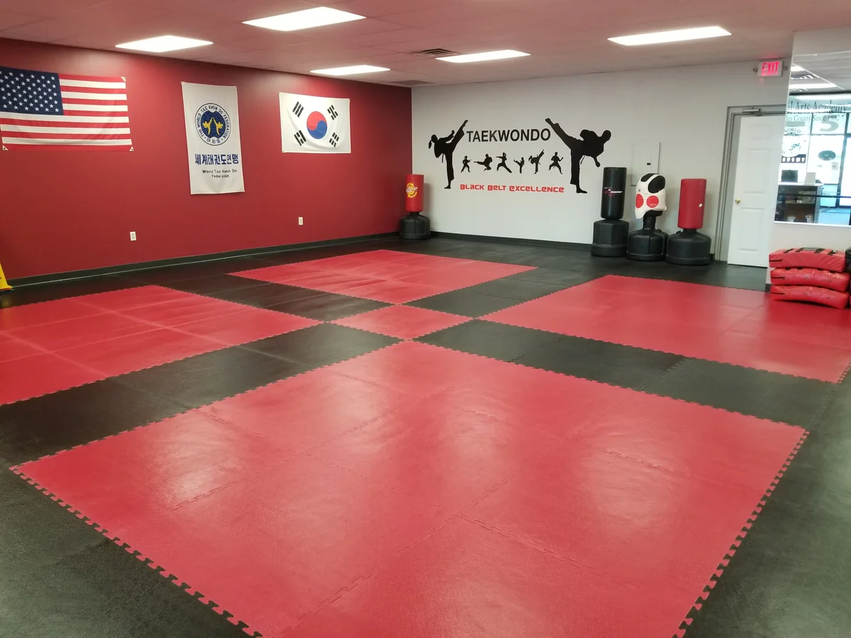 World Martial Arts Academy Ofallon facility image