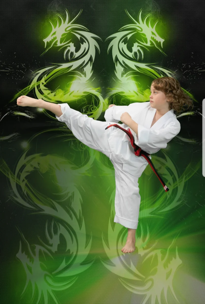 World Martial Arts Academy Ofallon facility image