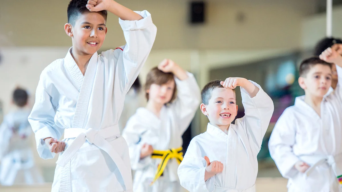 World Martial Arts Academy Ofallon facility image