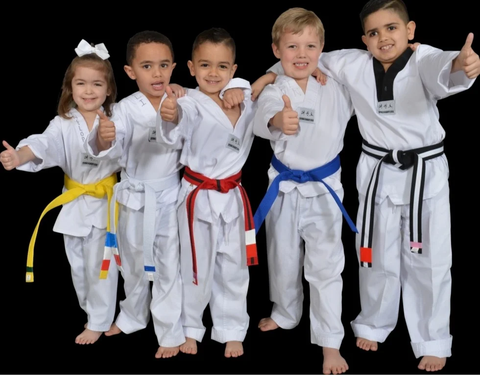World Martial Arts Academy Ofallon facility image