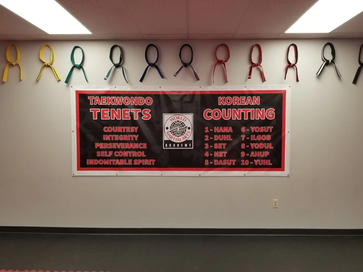 World Martial Arts Academy Ofallon facility image