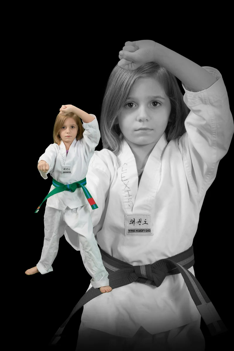 World Martial Arts Academy Ofallon facility image