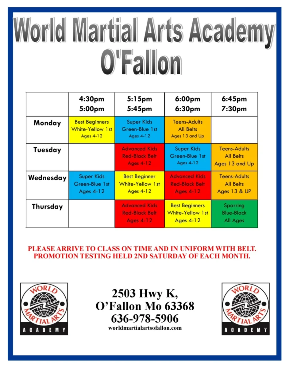 World Martial Arts Academy Ofallon facility image