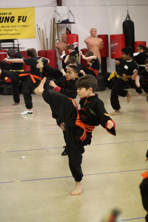 Academy of Kung Fu facility image