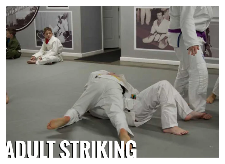 Gracie Gulf Coast Brazilian Jiu Jitsu Academy facility image