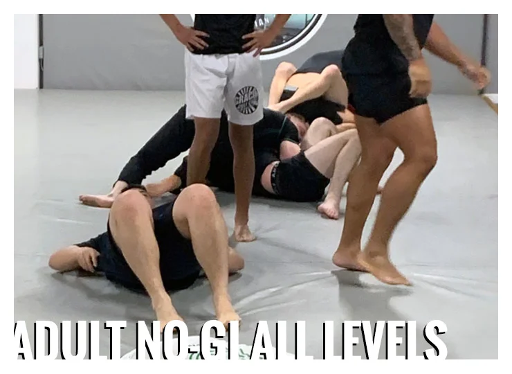 Gracie Gulf Coast Brazilian Jiu Jitsu Academy facility image