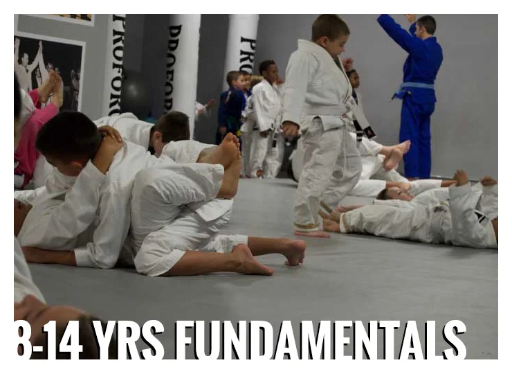Gracie Gulf Coast Brazilian Jiu Jitsu Academy facility image