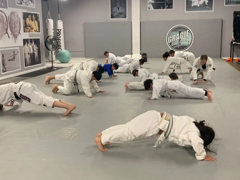 Gracie Gulf Coast Brazilian Jiu Jitsu Academy facility image