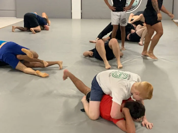 Gracie Gulf Coast Brazilian Jiu Jitsu Academy facility image