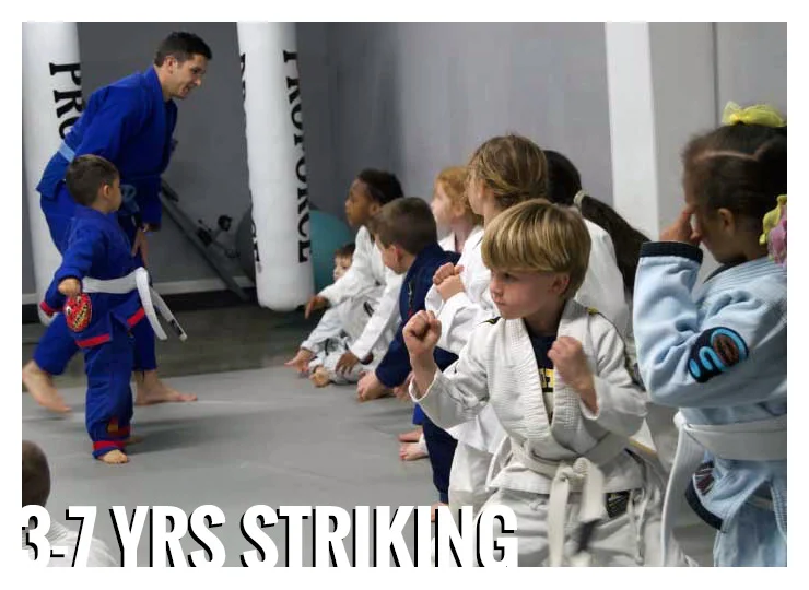 Gracie Gulf Coast Brazilian Jiu Jitsu Academy facility image