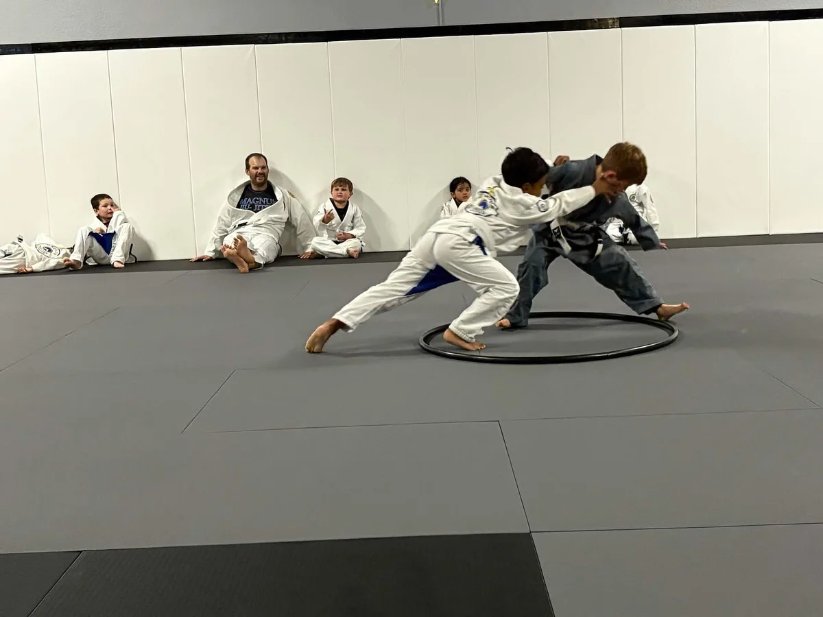 Magnus Training Academy & Brazilian Jiu-Jitsu facility image