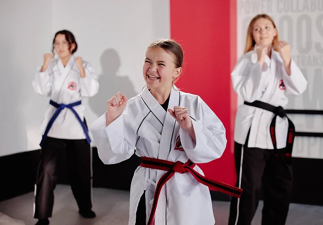 Tiger Rock Martial Arts facility image