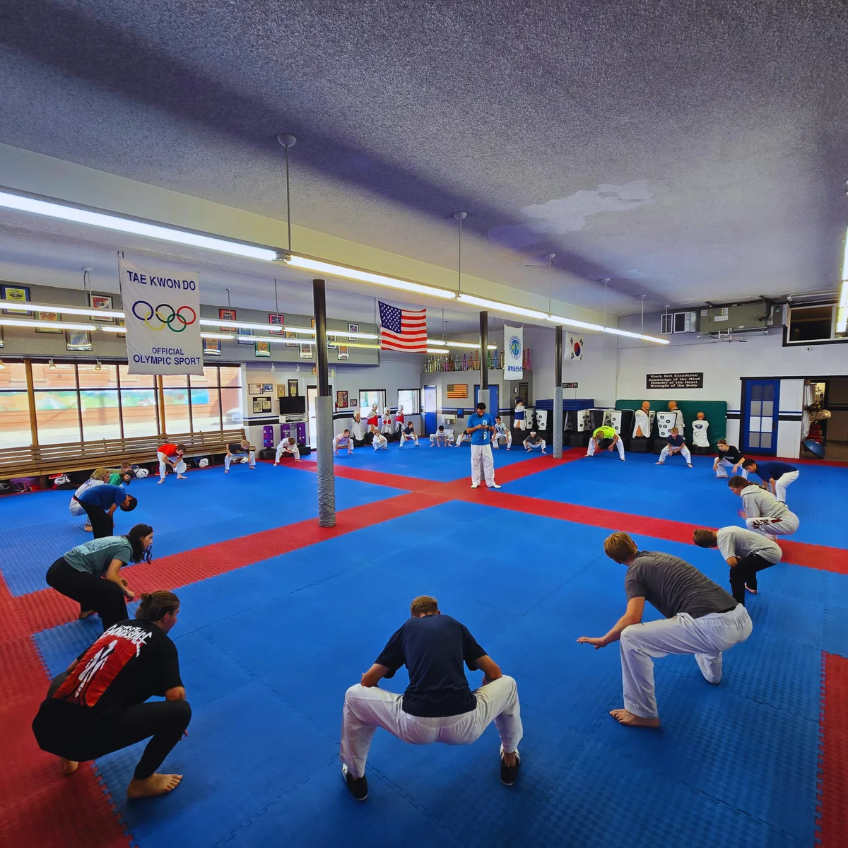 Big Sky Martial Arts academy logo