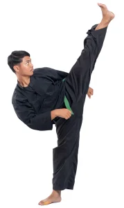 4 Winds Martial Arts facility image
