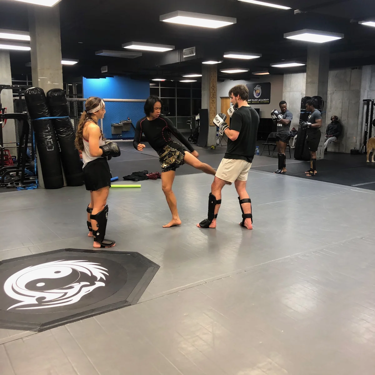 Fight Flow Academy facility image